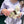 Shell Linen Set