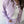 Multi Pocket Set