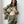 Pucci Silk Set