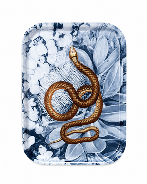 Snake Tray